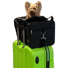 Yorkie sidder i en sort taske på en grøn kuffert