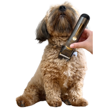 Brun hund sidder og bliver trimmet med en klippemaskine