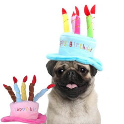 Fødselsdagshat til hunde|med lys