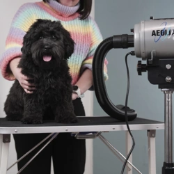 Aeolian Blower til hunde