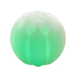 Glow Streak LED hundebold