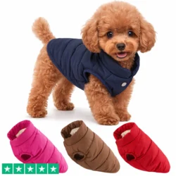 Dynevest til mindre hunde