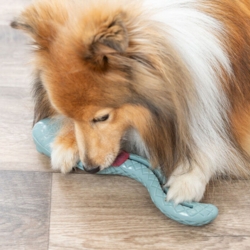 Snack Slange | Godbidgemmer