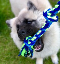 Buster Colour Dental Rope 3 knuder