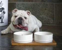 Bob Bambus og Keramik | Skålsæt