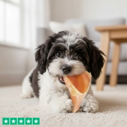 Vores Absolut Bestseller er denne kalveklov