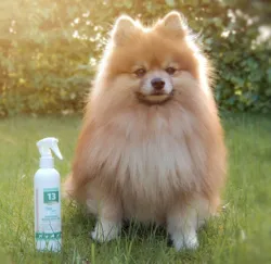 No. 13 Combing Conditioner | BEA Natur