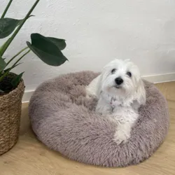 Ollipet Soft Cloud Donut Hundeseng i Khaki