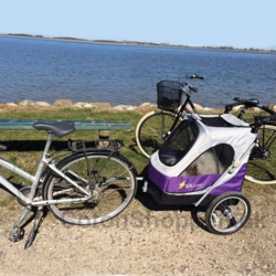 Cykelvogn til hunde