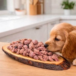 Lækker dåsefoder til hvalpe