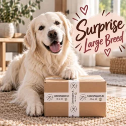 Pakketilbud | Large Breed Surprise Box