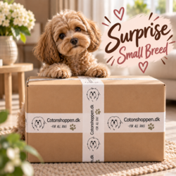 Pakketilbud | Small Breed Surprise Box