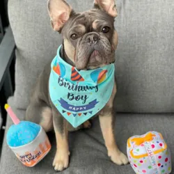 Birthday bandana | Boy