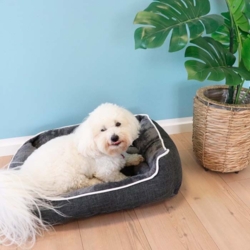 Arno Plys-hundeseng I Sally ligger i den størrelse medium