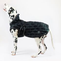 Monaco frakke | HUNTER I Holger har størrelse 50 cm