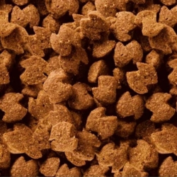 Eukanuba Puppy | Medium Breed