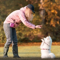 Perfekt godbidstaske til træning