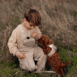 Godbidstasken matcher flot med de andre produkter i Ollipet For Wagging Tails serien