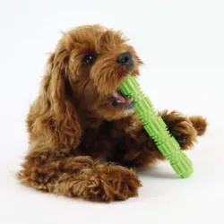 Toothbrush tube | Pelle ses med 18 cm I Tandrensende effekt