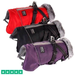 BonAPet Vinterdækken | M. Sele