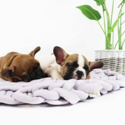 Ollipet Nordic Knitted Mat I Lysgrå 70 cm