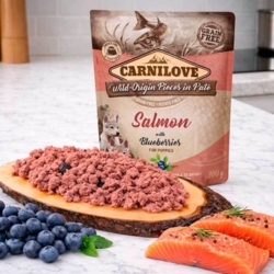 Carnilove Pouch Pate Salmon w. Blueberries | Vådfoder hvalpe