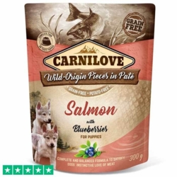 Carnilove Pouch Pate Salmon w. Blueberries | Vådfoder hvalpe