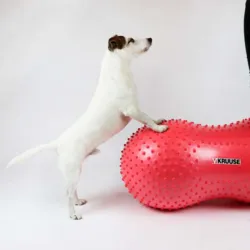 Physio Tactile Peanut