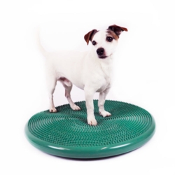 Physio Tactile Balance Discus I Anton på en 55cm