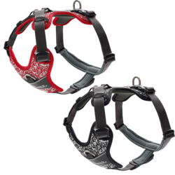 HUNTER Divo Reflect | H.Sele