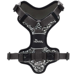 HUNTER Divo Reflect | H.Sele