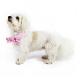 Ollipet Butterfly Cooling Bandana I Madonna i sit Lyserød med striber