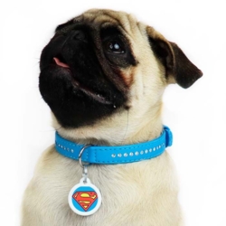 WauDog Glamour Halsbånd I Blå I Flemming er hvalp og har str. small på