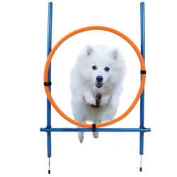 Ollipet DogFit Agility |Hurdle Jump Ring