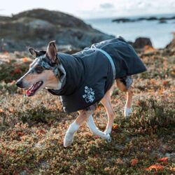 Hurtta extreme warmer