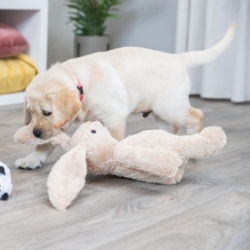 Sød kanin bamse til hunde og hvalpe fra Trixie