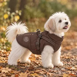 Ollipet For Wagging Tails | Arctic Explorer Hundedækken