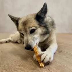 Faunakram Kornfri Dental Stick Medium Breed