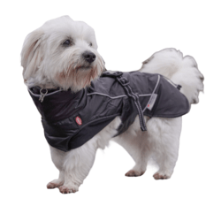 Vintertøj hunde | Søger vinterdækken eller vinterjakke til hunde→