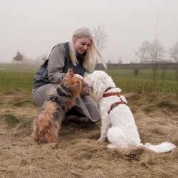 Hurtta Casual Y-Sele ECO | Happy & Futte bruger str. 45-55