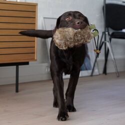 Dummy Med Imiteret Skind & Karla