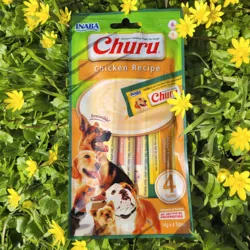 Churu med kylling
