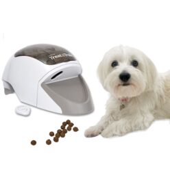 Treat & Train Hundetræner