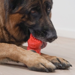 KING KLOMP Legetøjssko Darko