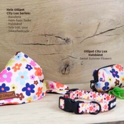 Ollipet City Lux Halsbånd I Sweet Summer Flowers I ses her med produkter fra samme serie