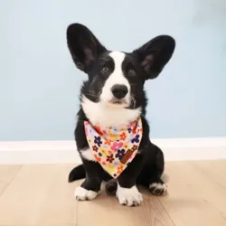 Ollipet City Lux Bandana I Sweet Summer Flowers