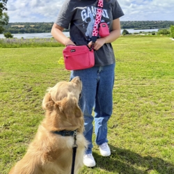 Ollipet City Lux Godbidstaske | Hearts Of Love