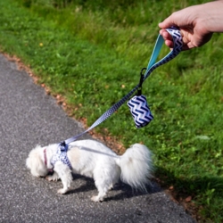 Ollipet City Lyx Hundesnor | Zig Zag