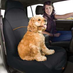stribet Sociale Studier linje Biltransport af hund | hundetransportkasser til hunde. Find dem her→