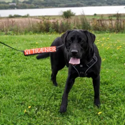 Ollipet VI TRÆNER Skilt | Oswald